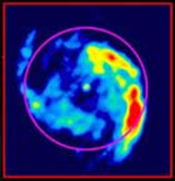 Multi-transition CO images toward the Whirlpool galaxy M51. The images show stronger intensity toward the nucleus in the higher CO transitions, suggesting that the molecular gas around the AGN is dominated by denser and warmer molecular gas. The optical p