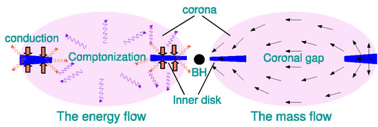 The Existence of Inner Cool Disks in the Low Hard State of Accreting Black Holes