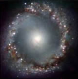 The central region of the Seyfert 1 galaxy NGC 1097