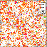 Simulated galaxy distribution. Each point corresponds to an individual
galaxy, whose luminosity of dust emission at a submillimeter
wavelength of 0.85mm is calculated individually. Therefore, the figure
predicts the early Universe (z = 6) that ALMA would see. The larger a
point is, the more luminous the galaxy is. The redder a point is, the
larger fraction of energy is radiated in submillimeter. We only plot
galaxies that are detectable by ALMA. The gray-scale shows the
distribution of the dark matter, whose gravity attracts galaxies. From the
figure, we see that ALMA can detect huge number of galaxies. We also
find that "red" galaxies are the dominant population. Here, "red" means
that a galaxy radiates more in the submillimeter than in the optical (so it
is different from normal red). The existence of dust makes galaxies
"redder", because dust absorbs optical light and emits submillimeter
radiation. We emphasize that if the galaxies have "redder" colors, the
importance of ALMA is more pronounced. Therefore, a lot of red points
in the figure indicate that ALMA is really essential in observing the early
Universe.