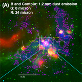 Global Contraction vs. Hierarchical Fragmentation of the Filamentary Giant Molecular Cloud