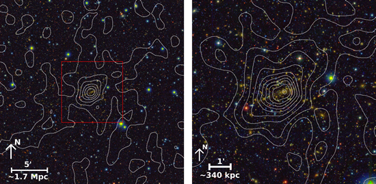 Mass Distribution in and around the Galaxy Cluster MACS J1206.2-0847