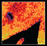 Secondary Ion Imaging by NanoSIMS