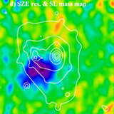 A Cool Core Disturbed: Observational Evidence for the Coexistence of Subsonic Sloshing Gas and Stripped Shock-heated Gas around the Core of RX J1347.5-1145