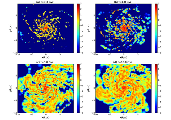 Simulation of molecular gas distribution in a galactic disk