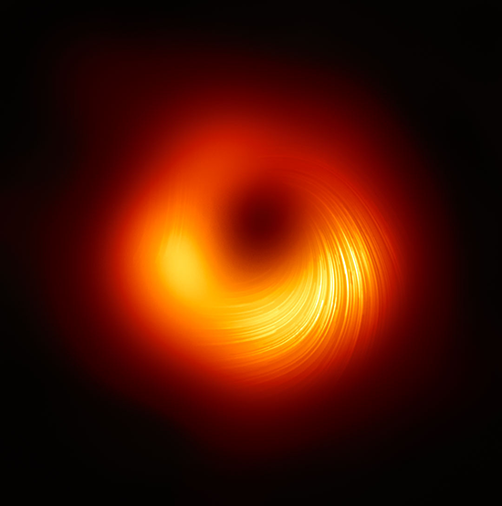 First Polarization Image around the Black Hole Shadow