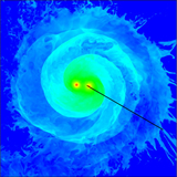 AMR Study of the Common Envelope Phase of Binary Evolution