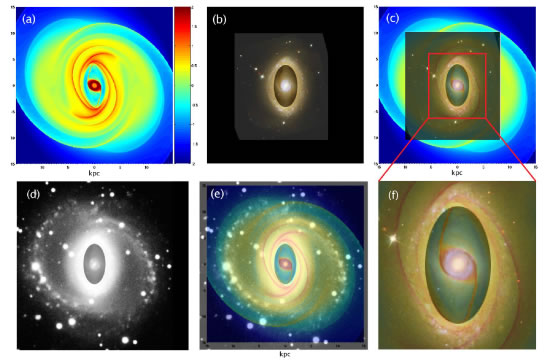 Hydrodynamical Simulations of the Barred Spiral Galaxy NGC 6782