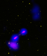 An exotic galaxy nick-named 'Speca' (Spiral-host Episodic radio-galaxy(AGN) tracing Cluster Accretion) has been discovered. Above is the composite image of Speca: Optical SDSS image of the galaxies in yellow, low resolution radio image from NVSS in blue, high resolution radio image from GMRT in red.