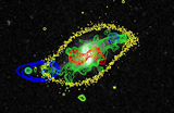 Panchromatic summary of NGC3801 showing radio continuum from VLA (red contours), HI-emission from VLA (blue), 8 micron dust/PAH emission from Spitzer (gray scale), r'-band optical image from SDSS (yellow single contour) and Ultraviolet 
emission from GALEX (green).