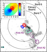 ALMA detection of the rotating molecular disk wind from the young star HD 163296