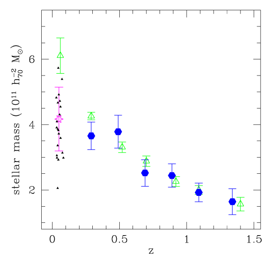 Predictions of the stellar mass growth of BCGs
