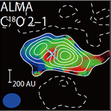 An extremely young protostar, SMM11, in the Serpens Main cluster forming region observed with ALMA in 1.3 mm continuum, 12CO J=2-1 line, and C18O J=2-1 line. These results, as well as submillimeter and infrared results, suggest that the protostar is in an early phase of star formation right after the second collapse.
